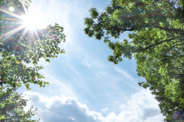 シンプルライフを叶えましょう