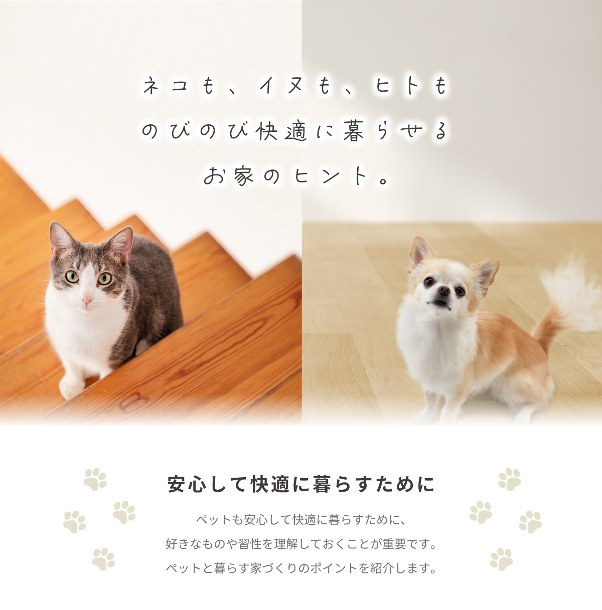 美都住販　mitohouse　ペットと暮らす家　犬と暮らす　猫と暮らす