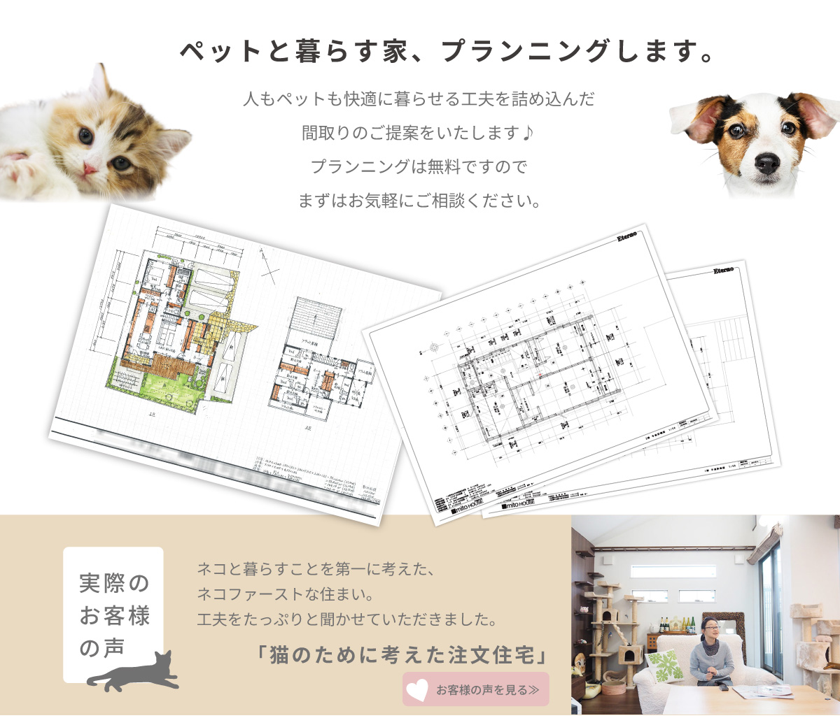 美都住販　mitohouse　ペットと暮らす家　犬と暮らす　猫と暮らす　ペットと暮らす家、プランニングします　無料　まずはお気軽にご相談ください　実際のお客様の声　猫と人が気ままに暮らす家