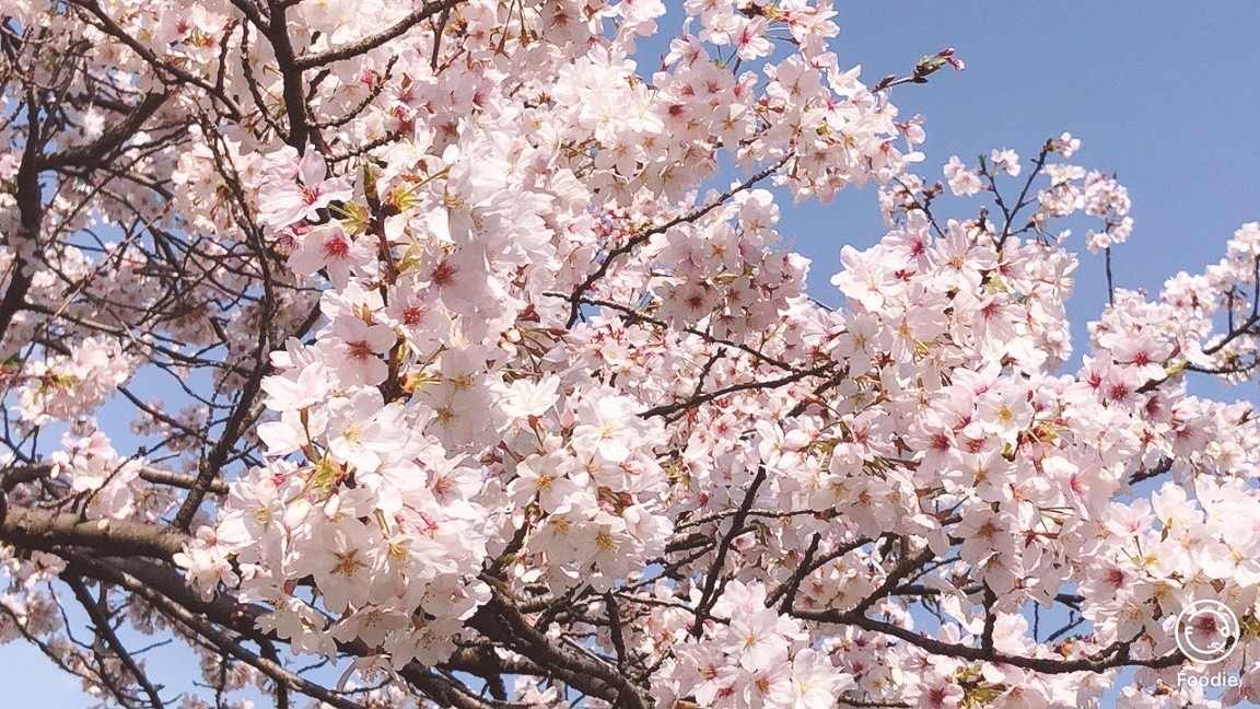 住まいに求められるものの変化