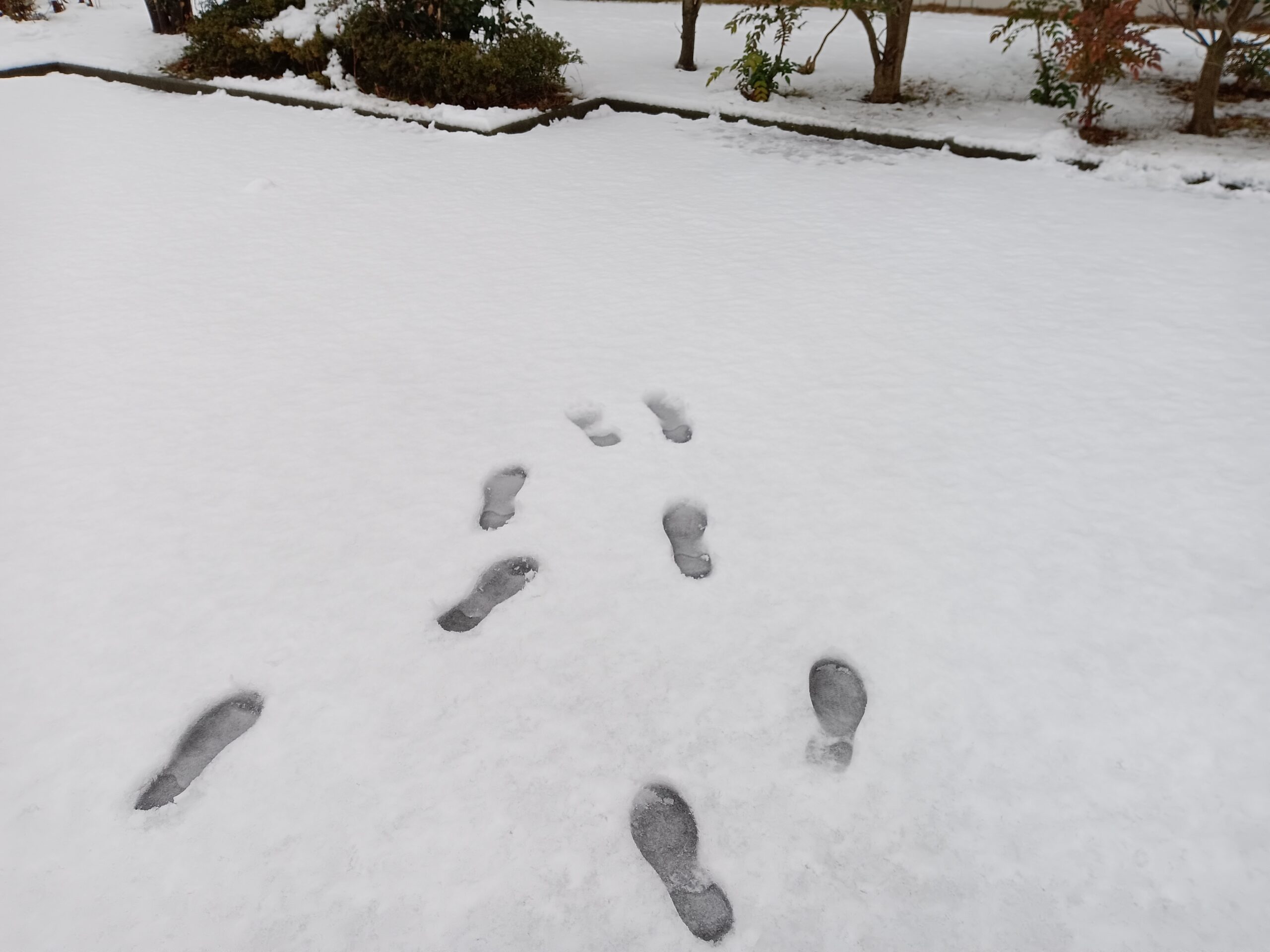 幸せって？？