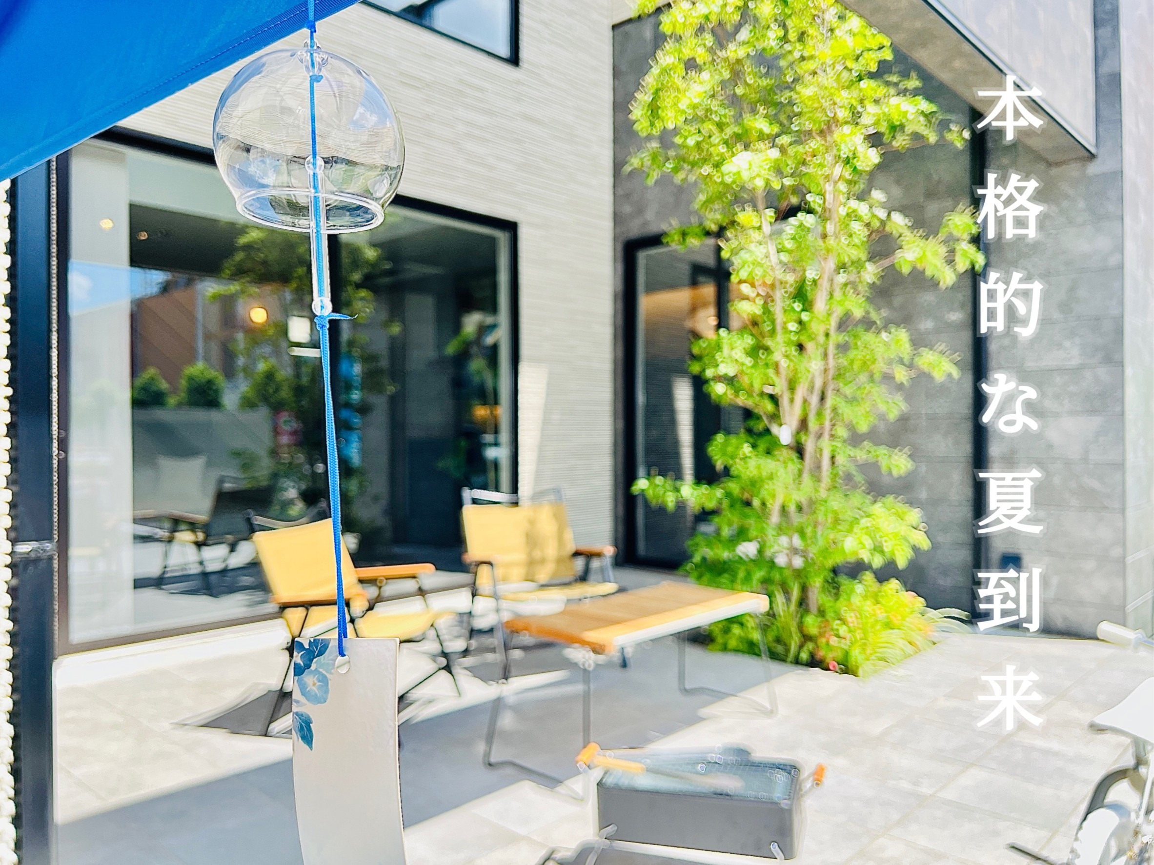 海老名店の芝生のお手入れを行いました