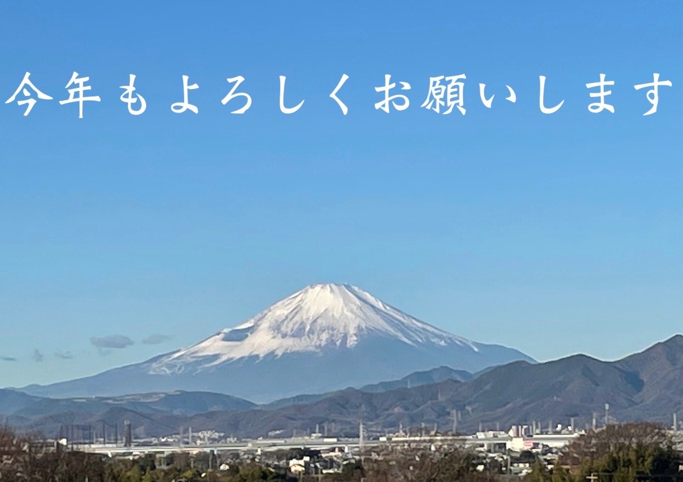 辰年スタートしました