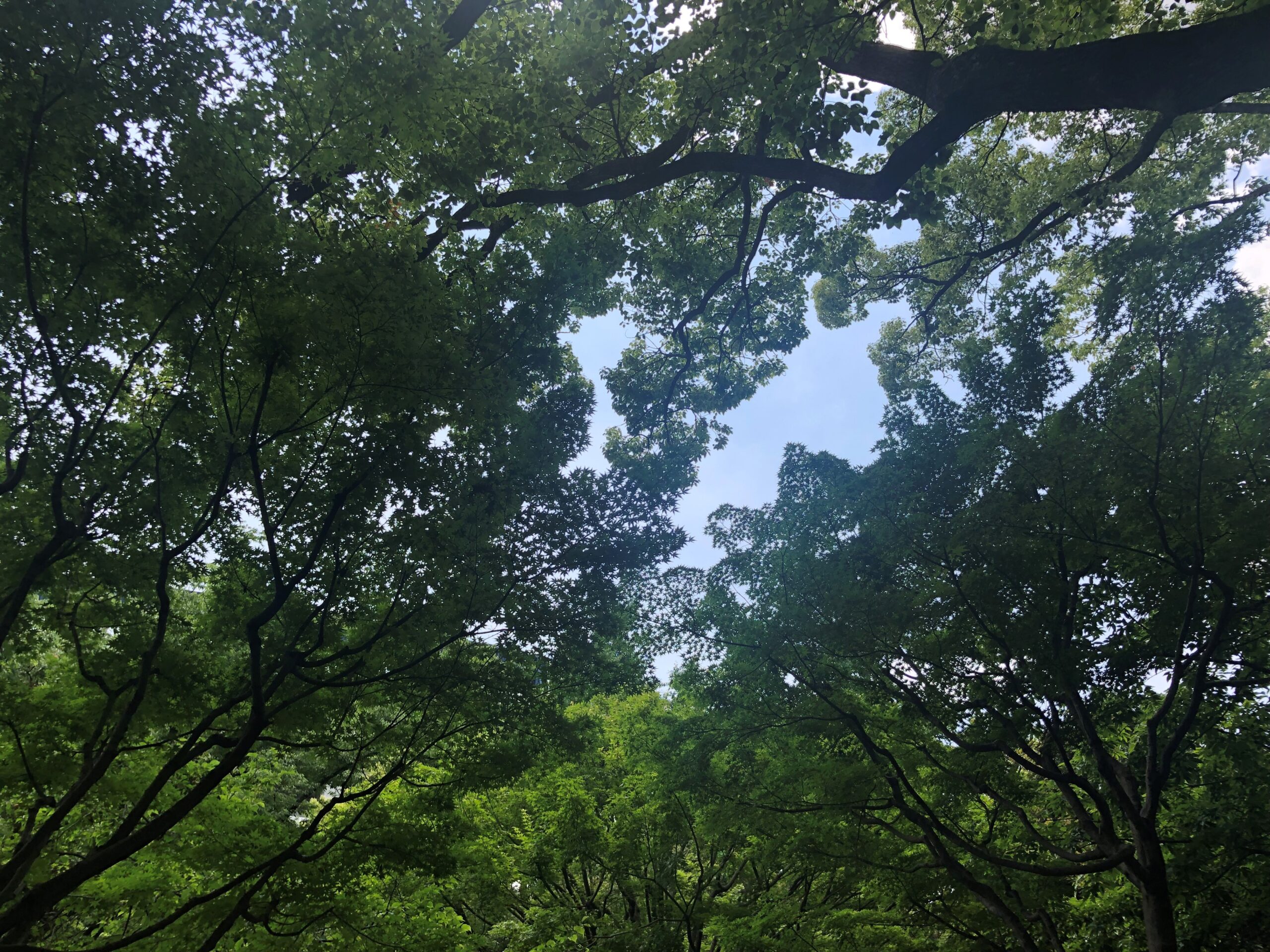 綾瀬を楽しむ