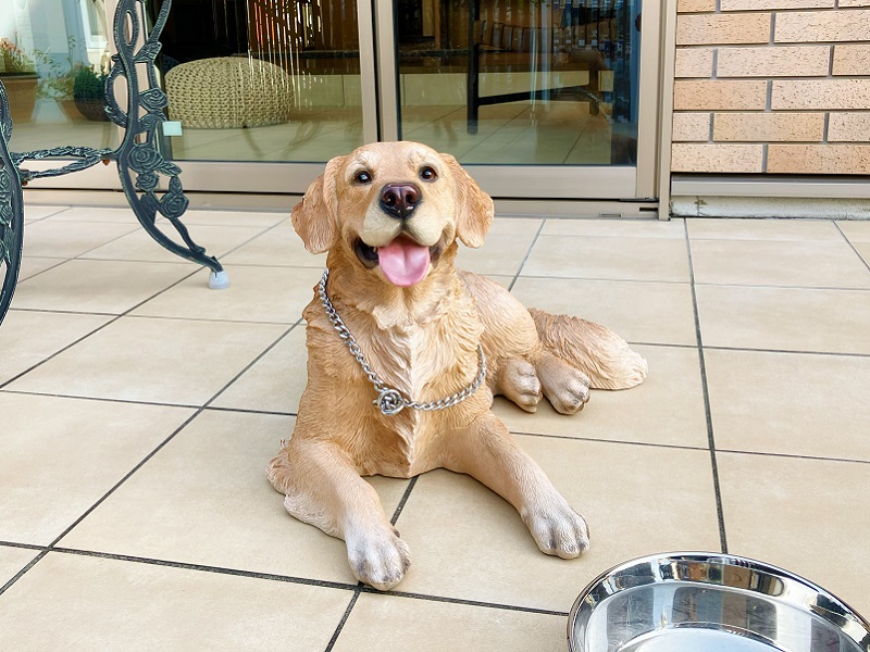お出迎え犬ミットンくん