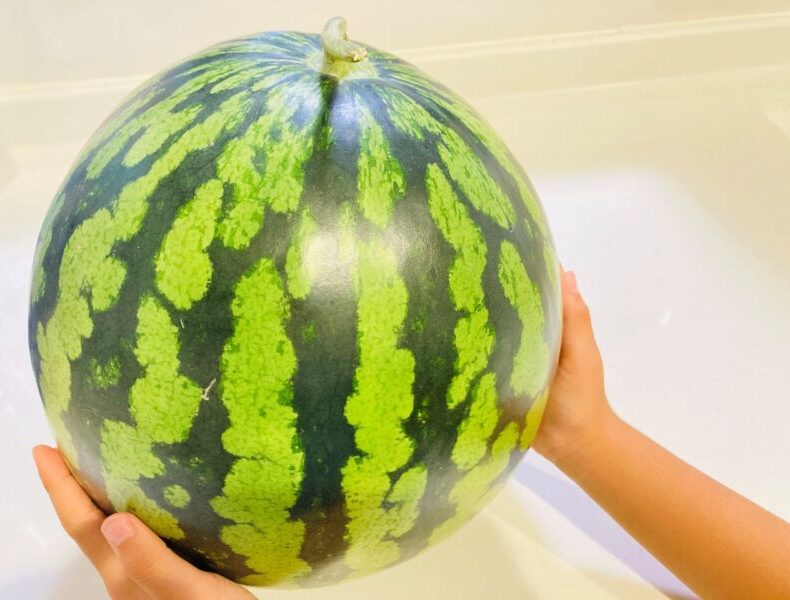 月とスイカのはなし