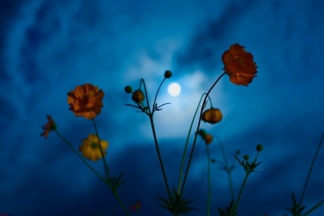 秋の夜長