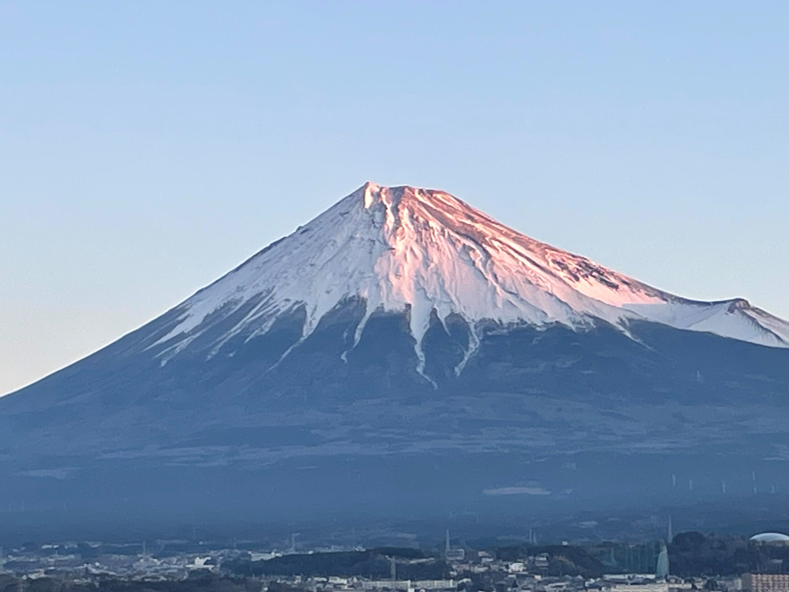 心がほっこりする言葉