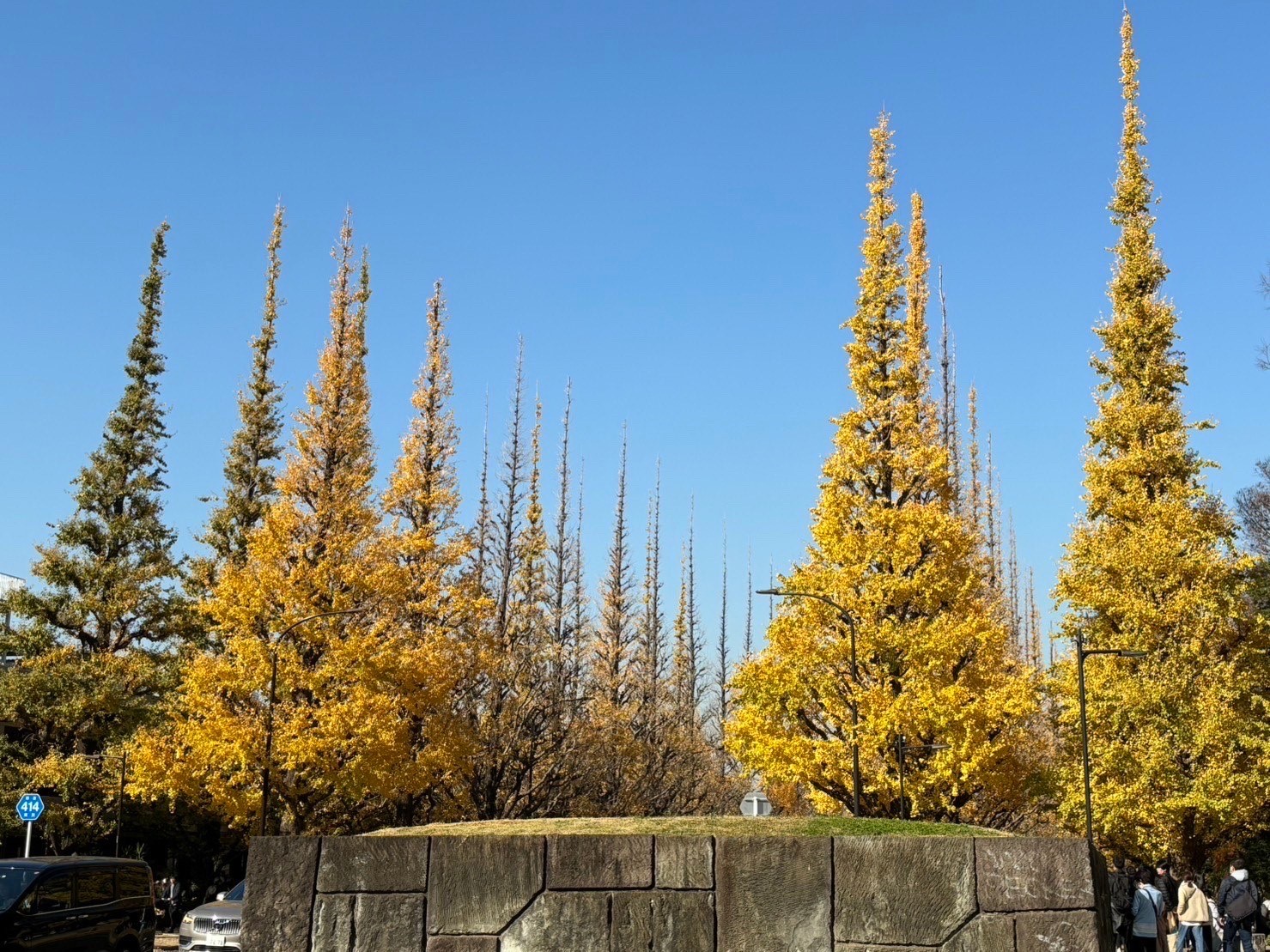 明かりのもたらす効果