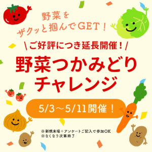 【古淵モデルハウス】ご好評につき延長開催！野菜つかみどりチャレンジ
