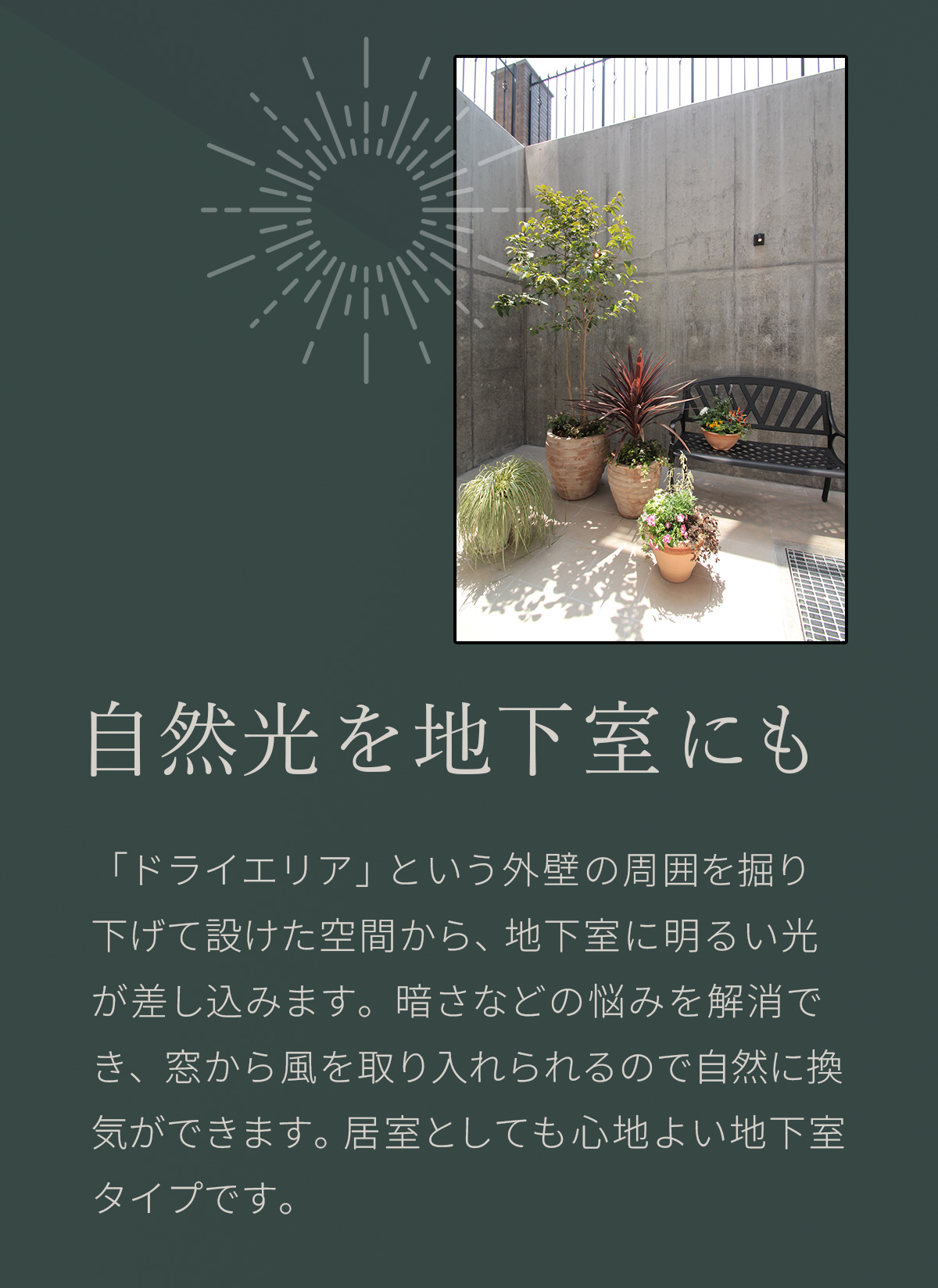 自然光を地下室にも　「ドライエリア」という外壁の周囲を掘り下げて設けた空間から、地下室に明るい光が差し込みます。暗さなどの悩みを解消でき、窓から風を取り入れられるので自然に換気ができます。居室としても心地よい地下室タイプです。 