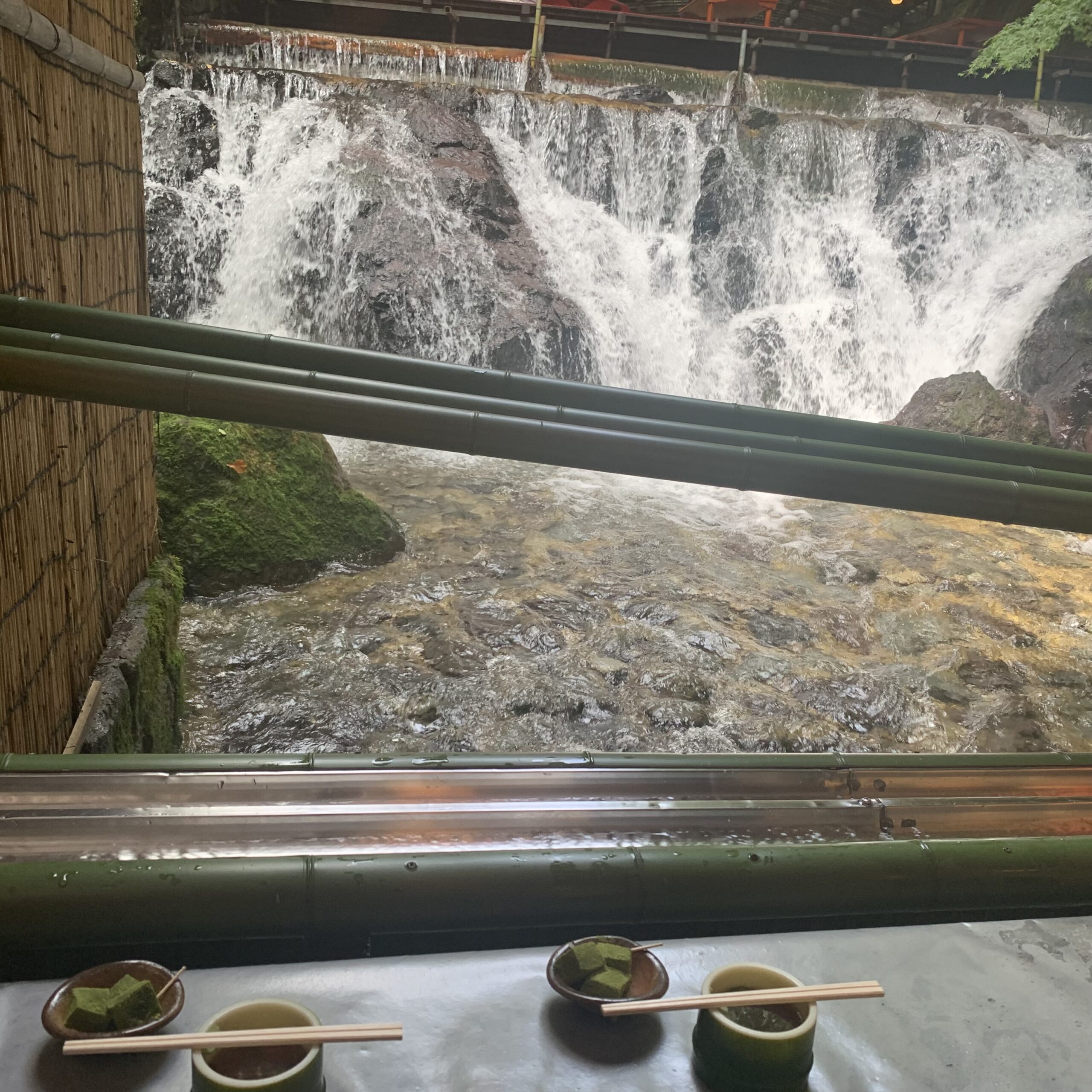 夏の旅行先のご提案