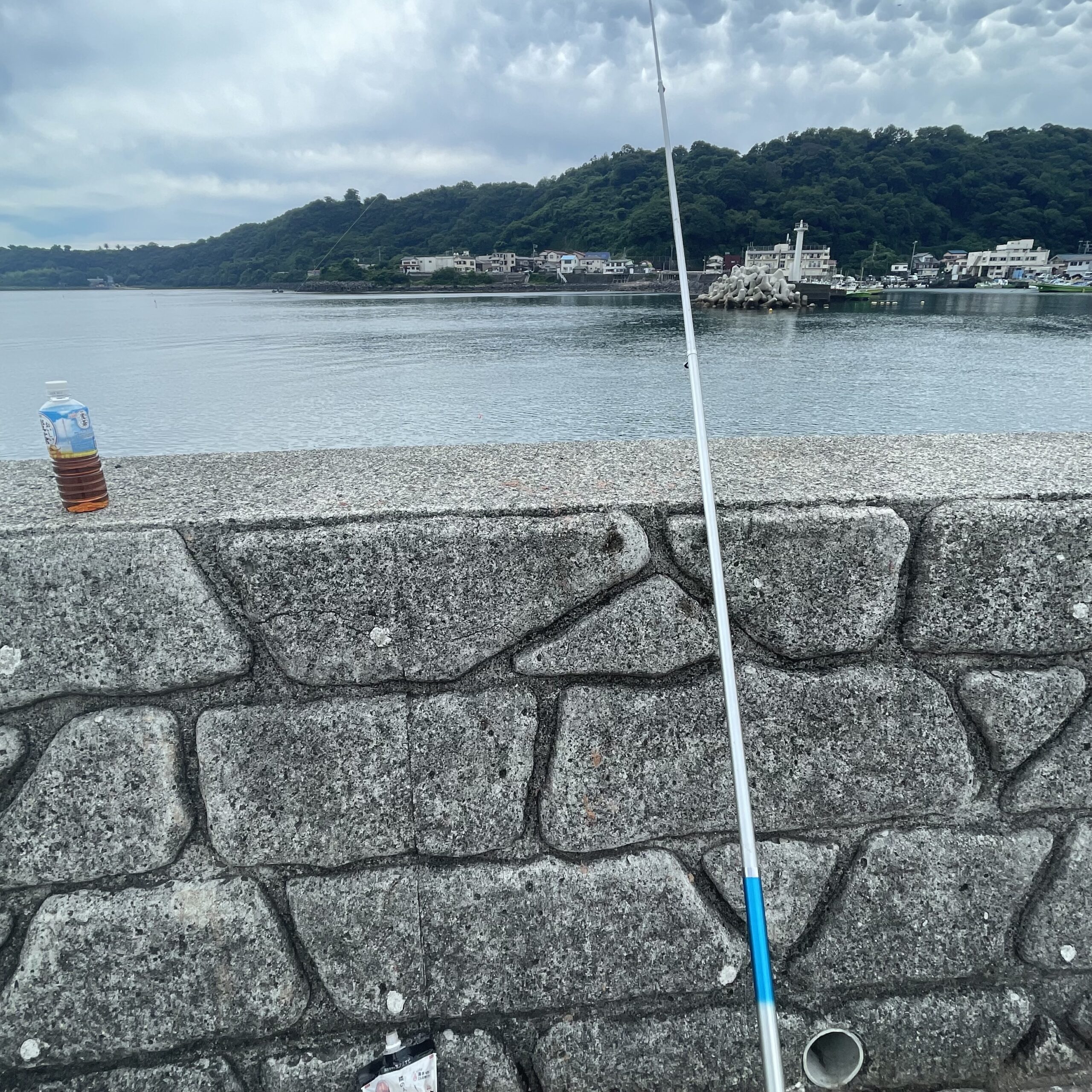 ～大漁を求めて🐠～