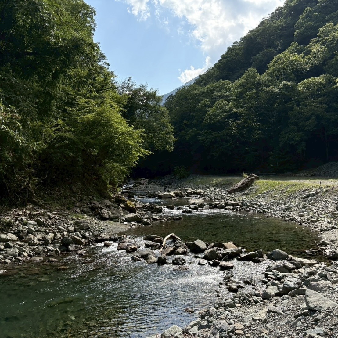 ～夏といえば🍖～