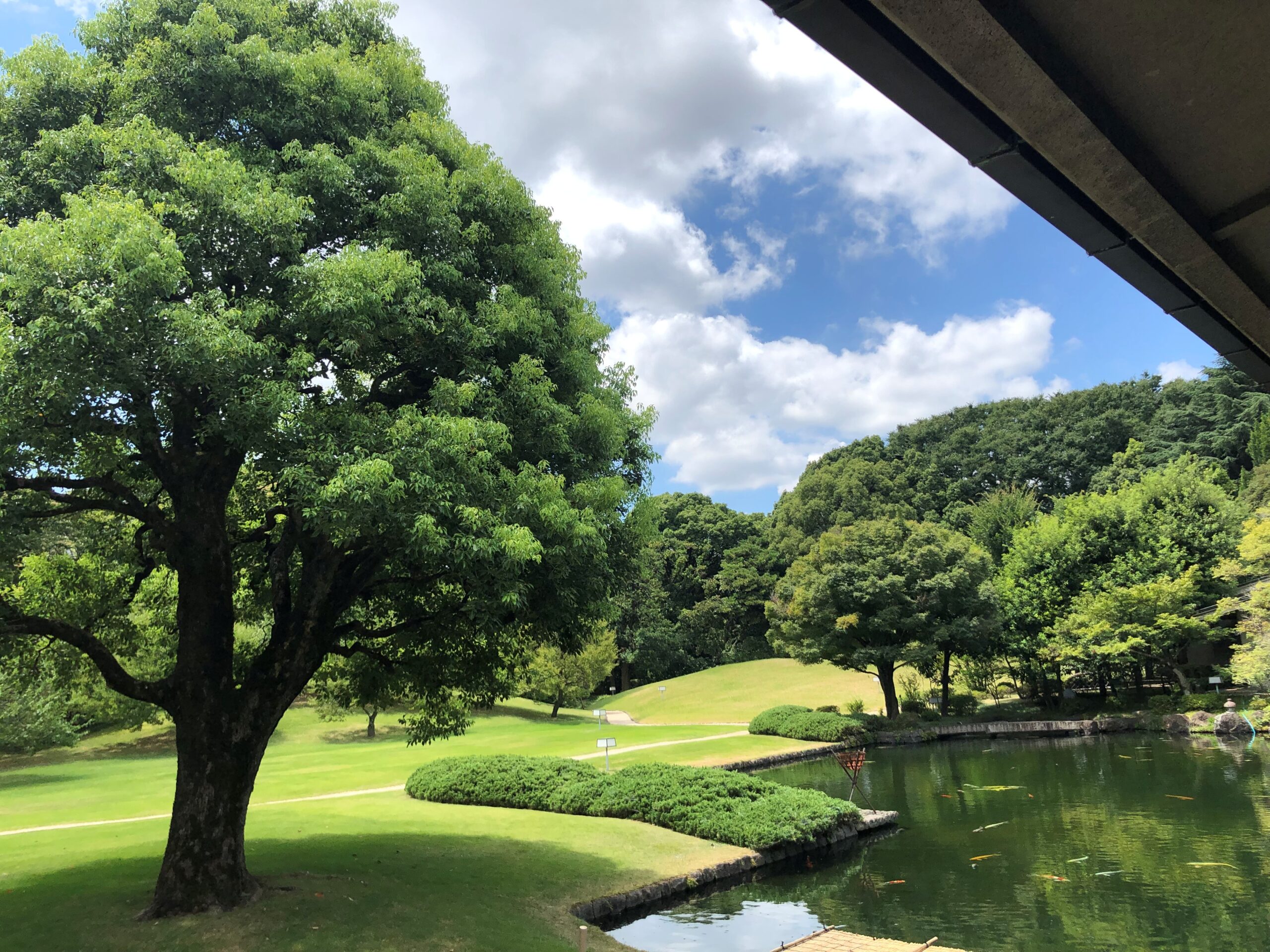 歩いてみよう🌞