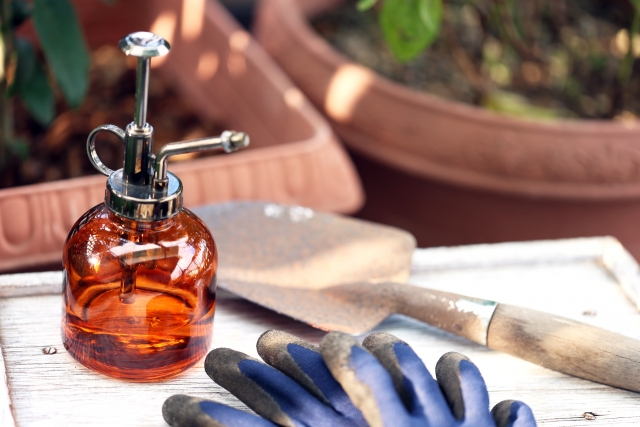 ガーデニングや家庭菜園で自然とつながる