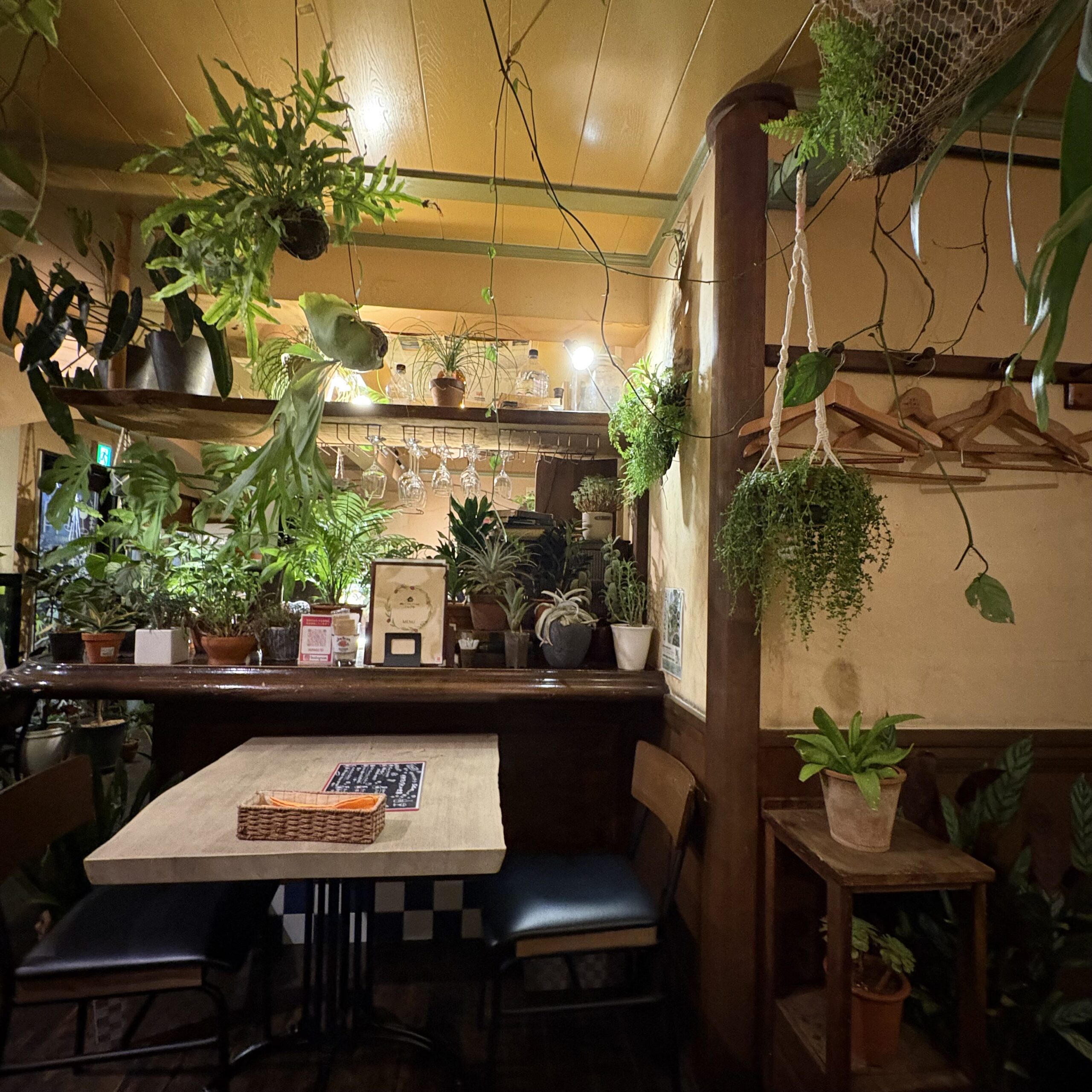 観葉植物で生み出すオシャレ空間🍃