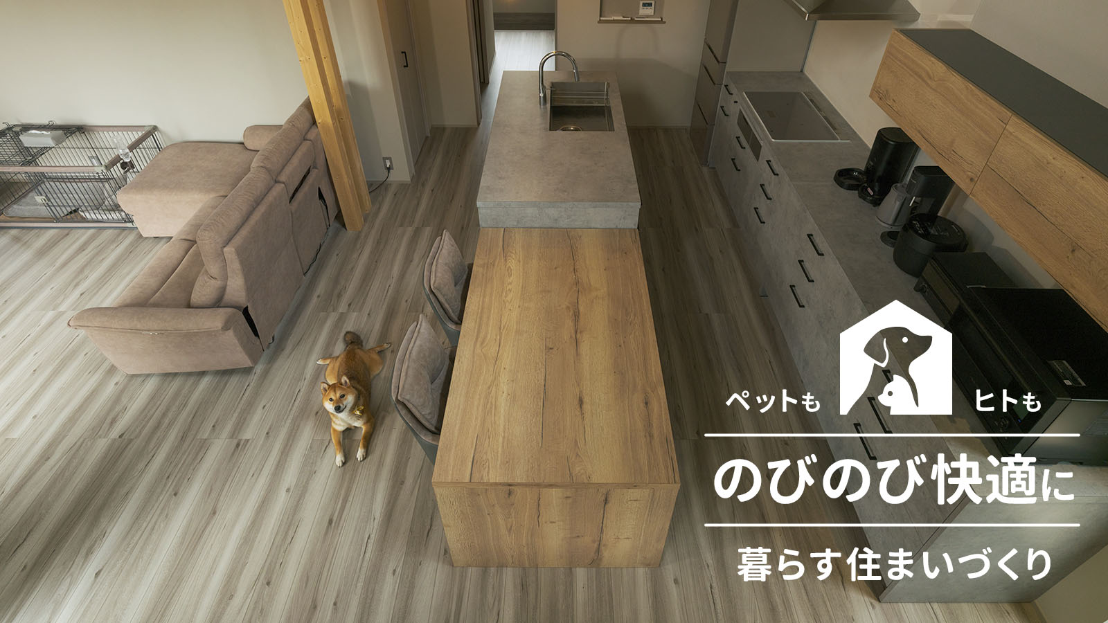 ペットも、ヒトも、のびのび快適に暮らす住まいづくり