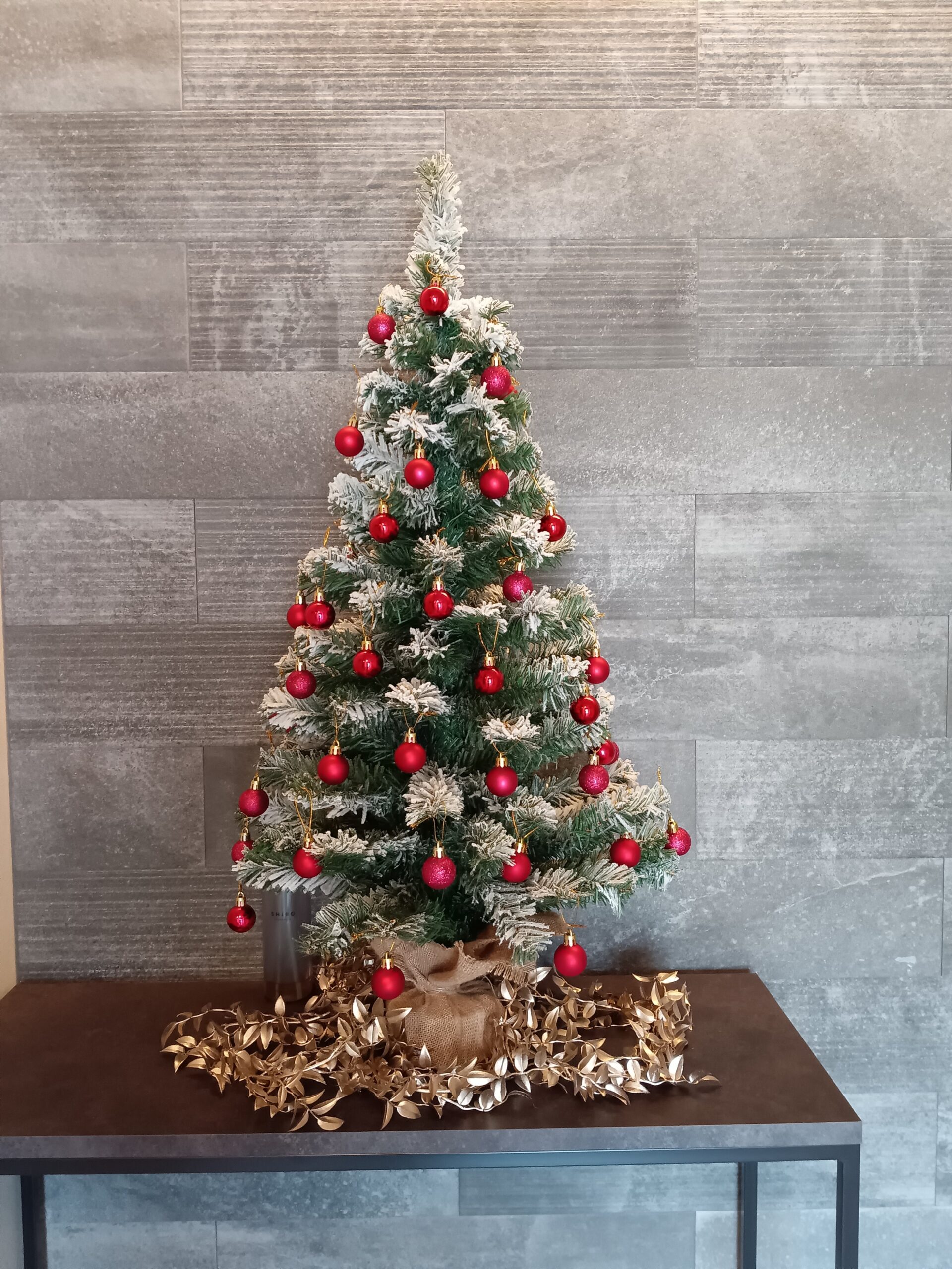 もうすぐクリスマス🎄