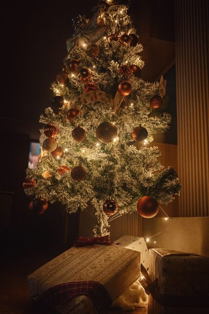 クリスマス目前　ワクワクのおすそわけ