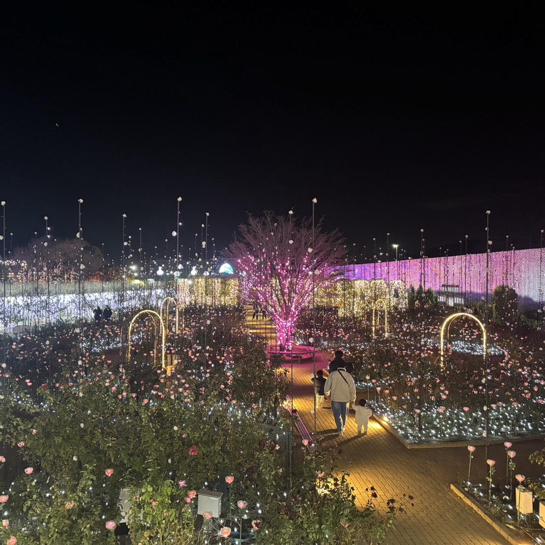 きらきら光らせたい季節⛄