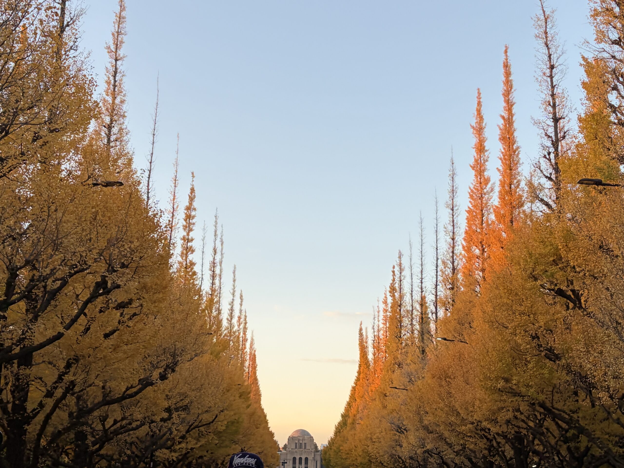 タイムレスエレガンス