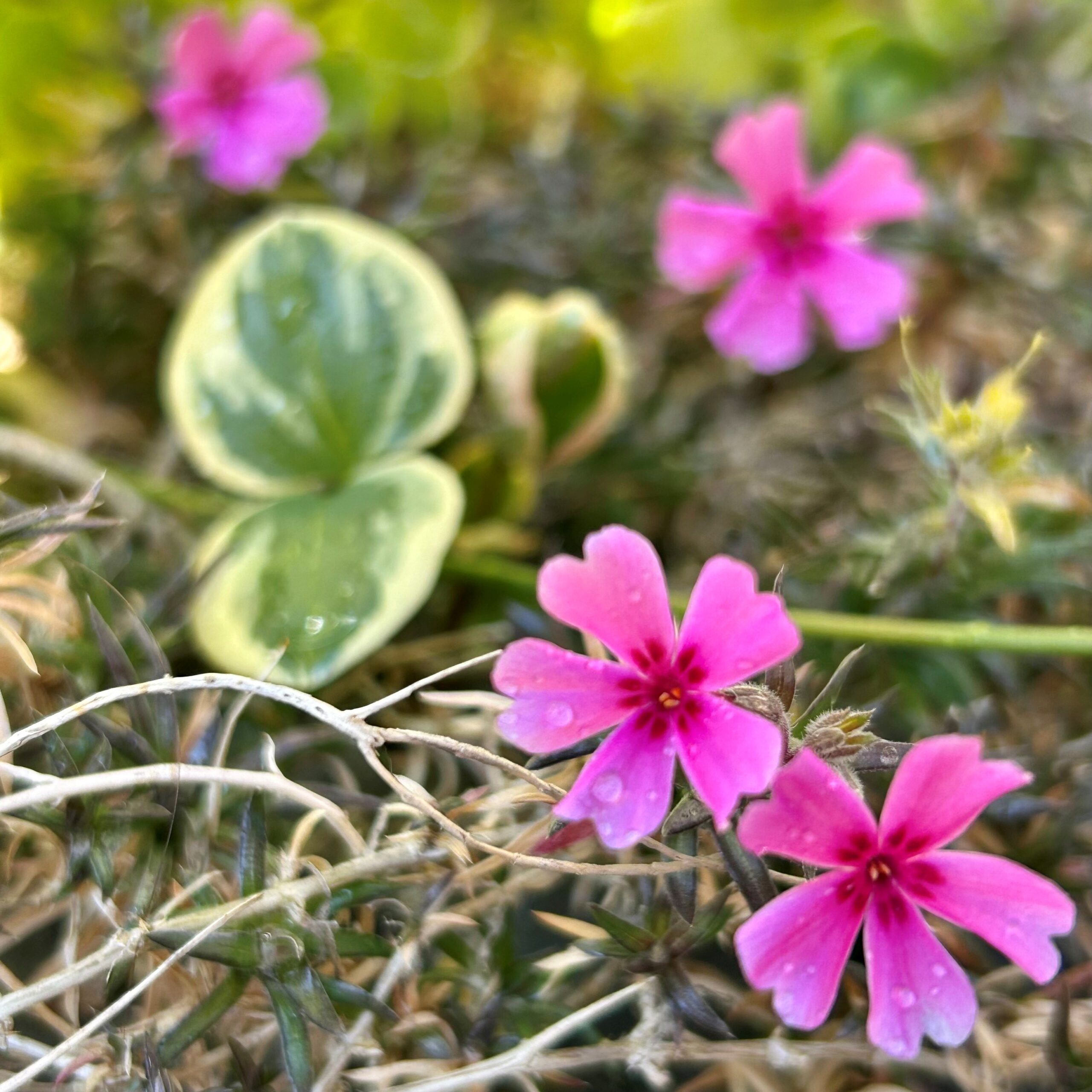 快適！全館空調とお手入れ